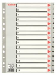 Esselte 100131 intercalaire de classement Onglet avec index numérique Polypropylène [PP] Gris (Esselte register PP A4 1-15 grÃ¥)