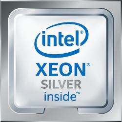 Intel Xeon 4210R processor 2.4 GHz 13.75 MB Tray (INTEL CPU XEON SILVER 4210R 2.40GHz 10C,13.75MB 100W)