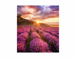 Samsung LH020IFHBAE video wall display Direct view LED [DVLED] Indoor (SAMSUNG IFE SERIES INDOOR LED 2.0MM)