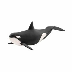 schleich WILD LIFE Orque (Schleich Wild Life - Killer Whale)