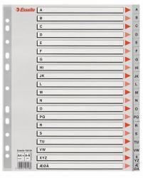 Esselte 100128 intercalaire de classement Onglet avec index alphabétique Polypropylène [PP] Gris (Esselte register PP A4 maxi A-Ã grÃ¥)