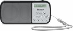TechniSat RDR Portable Analogique et numérique Argent 