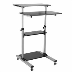 ROLINE 17.02.1547 All-in-One PC/workstation mount/stand 60 kg Aluminium, Black (PC STANDING WORKSTATION BLACK / - GRAY)