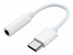 Samsung Adaptateur USB-C vers prise jack (Samsung Mobeen USB-C zu 3,5mm Klinke-A)
