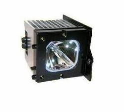 GO Lamps GL298 lampe de projection (Wall Mounted Magnetic Glass Board 1300x550x18mm - Botanic Design)