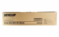 Develop A7U41RH printer drum Original 1 pc[s] (DEVELOP DR-313K - sort - kompatibel -)