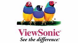 Viewsonic 4YOSS-CD65 extension de garantie et support 1 licence[s] 4 année[s] 