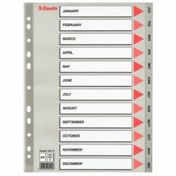 Esselte 100114 intercalaire de classement (Esselte register PP A4 Jan-Dec [GB] gr)