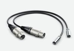 Blackmagic Design HYPERD/AXLRMINI2 câble audio 0,495 m mini XLR [3-pin] XLR [3-pin] Noir 