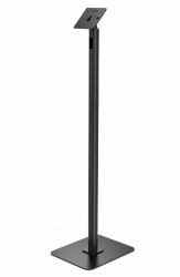 B50787745