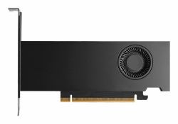 PNY RTX PRO 2000 Blackwell NVIDIA 16 GB GDDR7 (PNY 16GB RTX Pro 2000 Blackwell 4x mDP LP Smallbox [without Adapter])