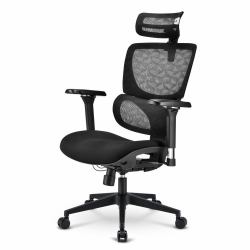 Sharkoon OfficePal C40 Siège rembourré Dossier en mesh (Sharkoon OfficePal C40 Polstret sÃ¦de R)