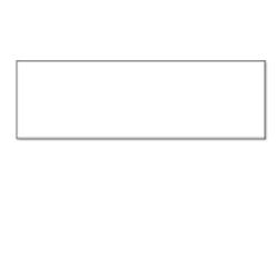 Seiko Instruments SLP-2RLH étiquette d'adresse Blanc (28 x 89 mm 520 pcs. [2 - roll[s] x 260] address labels)