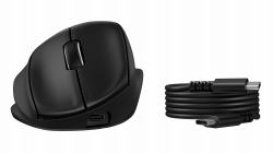 HP Tilt Ergonomic Mouse 725M (Tilt Ergonomic 725M Tilt - Ergonomic 725M Euro Mouse - Warranty: 12M)
