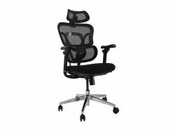Equip 651053 chaise et fauteuil de bureau Siège rembourré Dossier grillagé (Ergonomic Office Chair With - Headrest And Armrests, Black - Warranty: 12M)