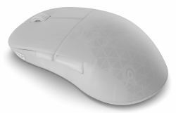 endgame gear XM2w 4k v2 souris Gaming Droitier RF Wireless + USB Type-A Optique 30000 DPI 