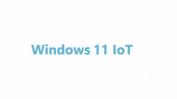 Advantech Win 11 IoT Ent Commercial 1 licence[s] Téléchargement électronique de logiciel Angla...