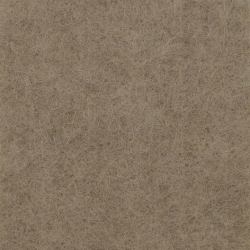 Middle Atlantic Products Focal Point TruTile AUTT22SQWACSMHZW Panneau et écran acoustique Panneau acoustique (WIDE ARC 2'X2' STANDARD HAZELWOOD)