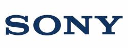 Sony 429870001 kit pour appareils photos (Screw Tapping P1 [Ch] [1 - screw] - Warranty: 6M)