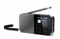 Sharp DR-P520 Personal Digital Grey (Sharp DR-P520[GY] OSAKA Pocket/Handhel)