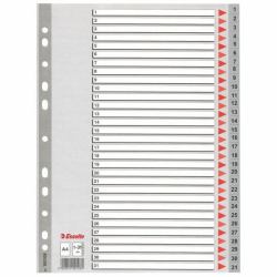 Esselte Plastic indexes Onglet avec index numérique Polypropylène [PP] (Esselte register PP A4 1-31 grÃ¥)