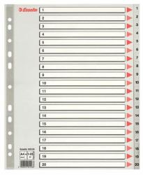 Esselte 100126 intercalaire de classement Onglet avec index numérique Polypropylène [PP] Gris (Esselte register PP A4 maxi 1-20 grÃ¥)