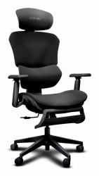 Trust GXT 725 Rivara Siège de jeu sur PC Siège rembourré Noir (26010 [New] ERGO GXT725 RIVARA MESH GAMING CHAIR BLK WITH FOOT REST)